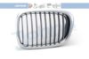 BMW 51132497261 Radiator Grille